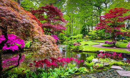 Garden Design and Maintenance - New Skills Academy