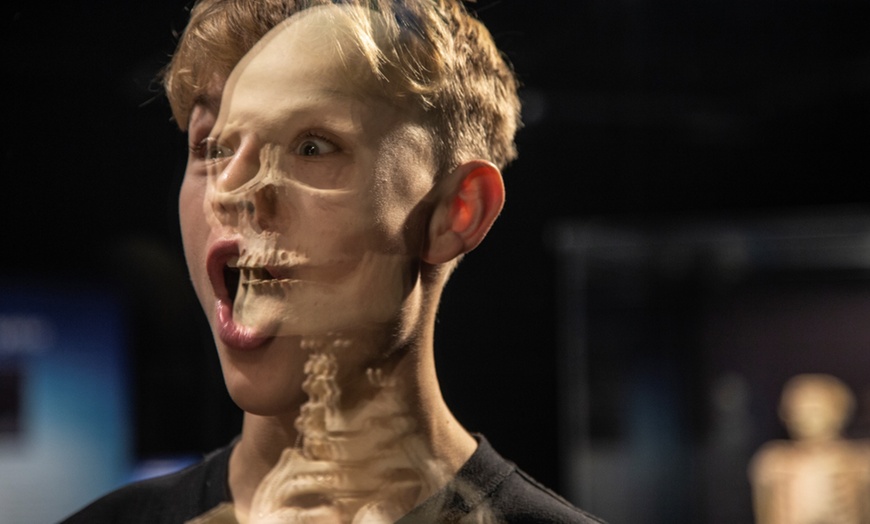 Image 6: 1 Ticket für Körperwelten in Hanau, einlösbar vom 17.11-05.12.2025