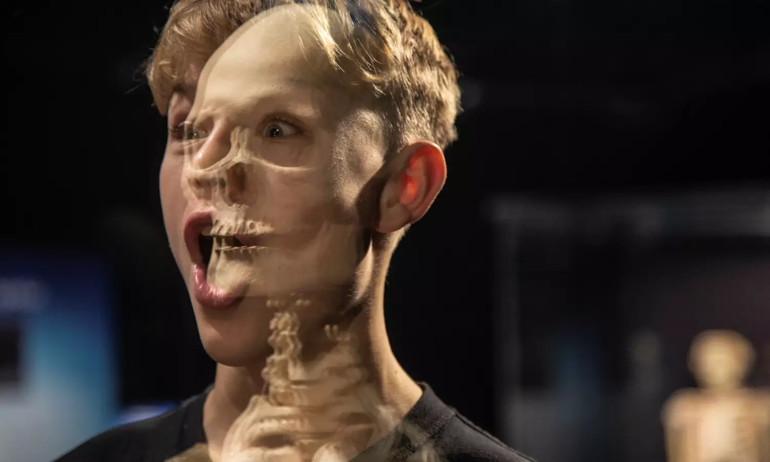 1 Ticket für Körperwelten in Hanau, einlösbar vom 17.11-05.12.2025 im Stadthof Hanau(25% sparen) - Image 6