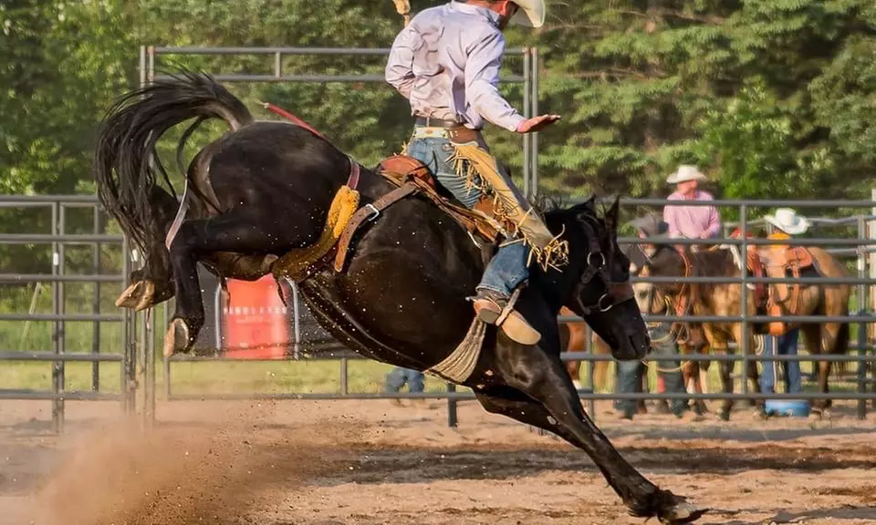 General Admission Ticket for One or Two People (July 12 to August 11) to Ringlers Stampede Rodeo (Up to 25% Off) - Primary Image
