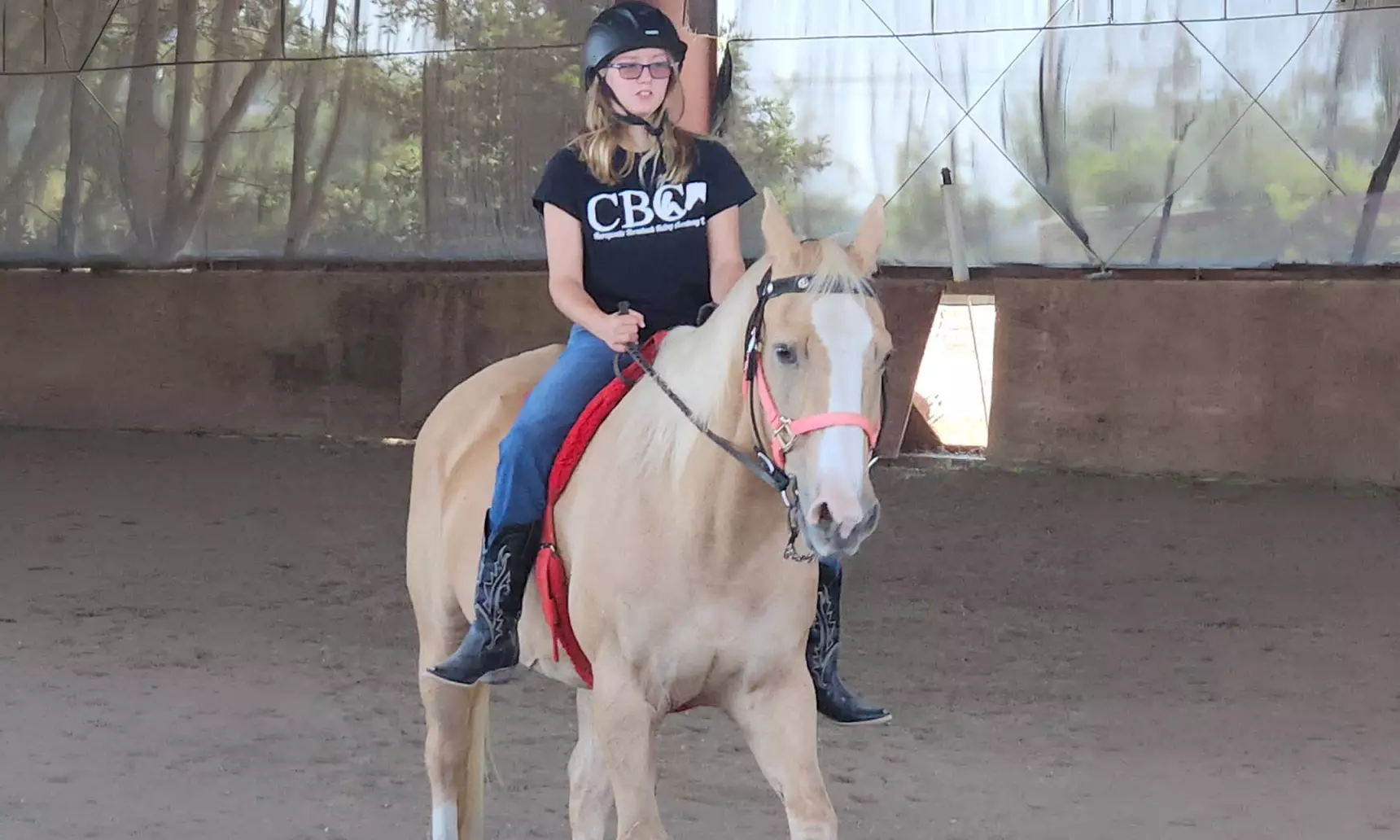 Intro to Horses and Riding - Scenic Views and Confidence in Herald, CA