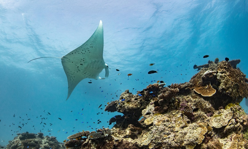 Image 8: ✈ Cairns: 5-Night Getaway at Rydges Cairns with Daily Breakfast