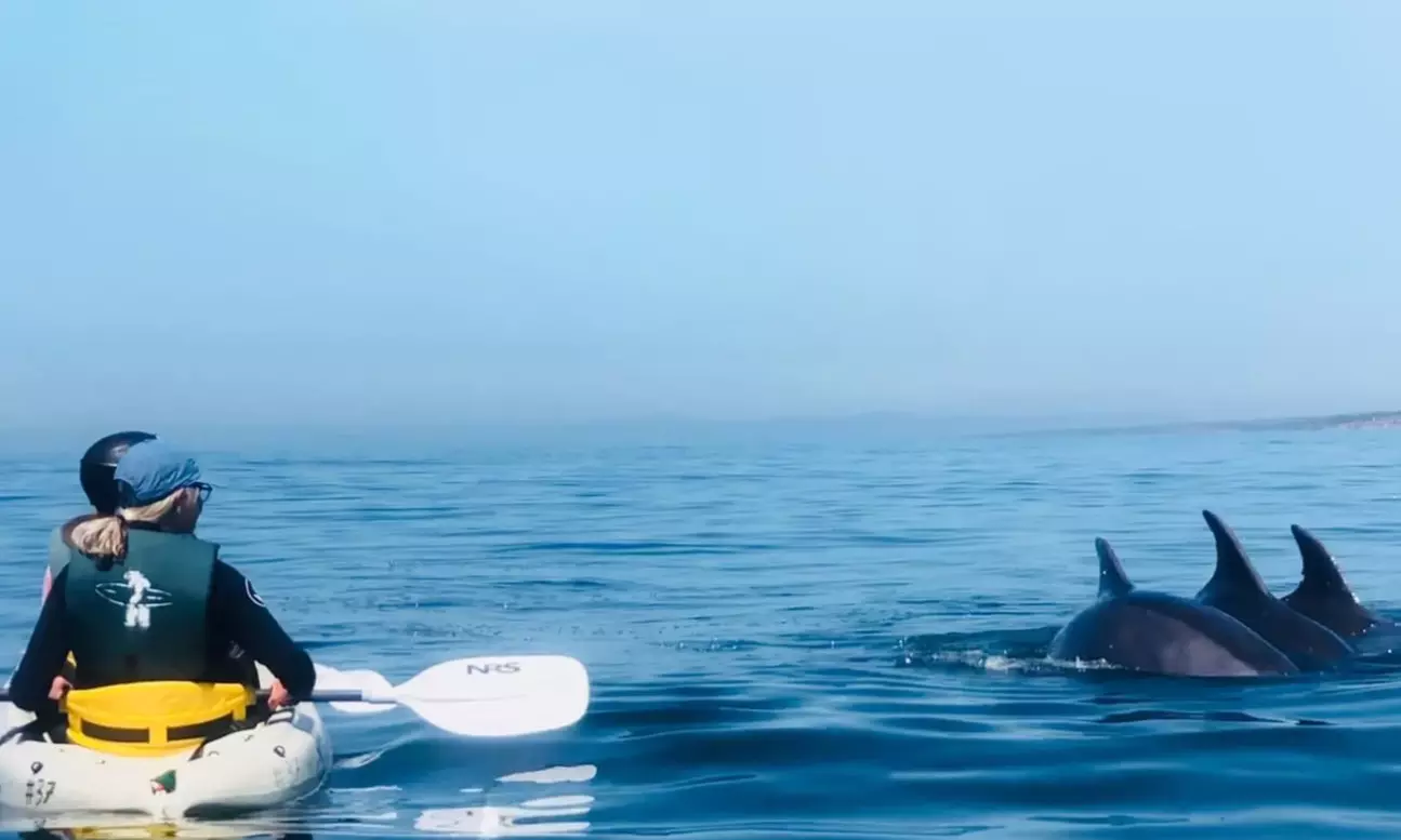 3 Hour Malibu Kayak/SUP Tour for 1, 2, or 4 People