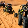 Image 1: VIP Desert Safari with 30-Min Quad Bike Ride with Home or Hotel Pickup