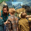 Image 1: Explore World Class Natural History, Dinosaurs and Live Animals