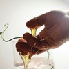 Image 5: Up to 43% Off on Sugaring at Sugared Touch