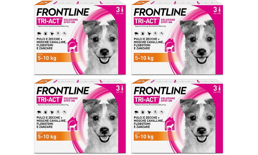 Image 16: Fino a 12 pipette Frontline Tri-Act® Spot-on per cani