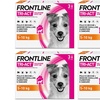 Image 16: Fino a 12 pipette Frontline Tri-Act® Spot-on per cani