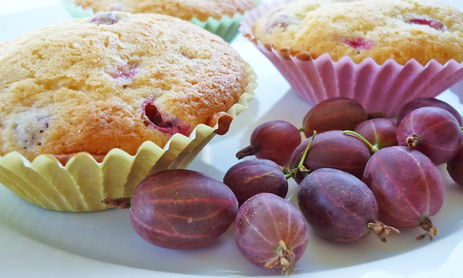 3er- oder 6er-Set rote oder grüne Stachelbeeren