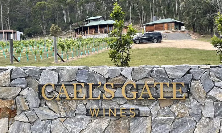 Up to 50% Off on Restaurant Speciality - Beer Tasting / Flights at Cael's Gate Wines