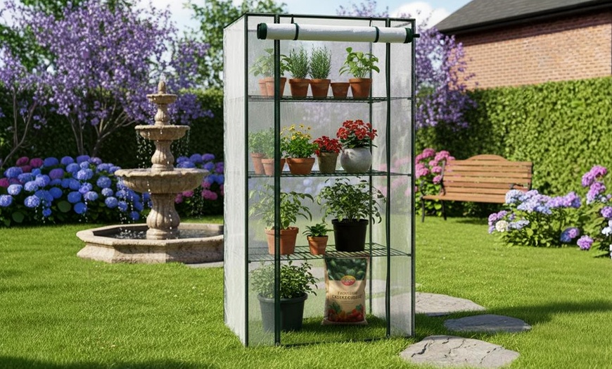 Image 16: Serre da giardino