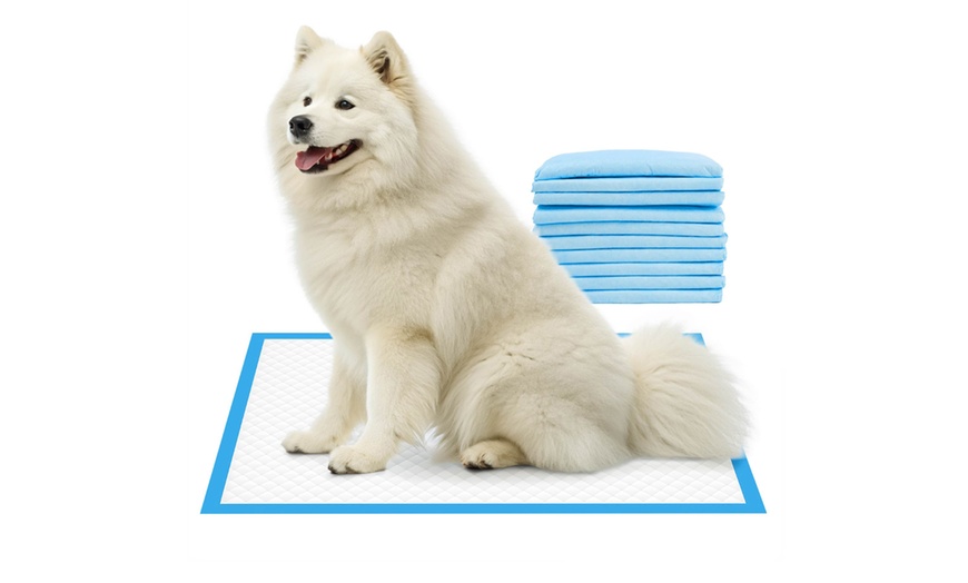 Image 6: Fino 200 tappetini assorbenti per cani e gatti