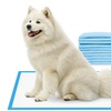 Image 6: Fino 200 tappetini assorbenti per cani e gatti