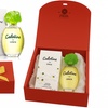 Image 5: Cabotine EDT oder EDP + Serum in Geschenkbox