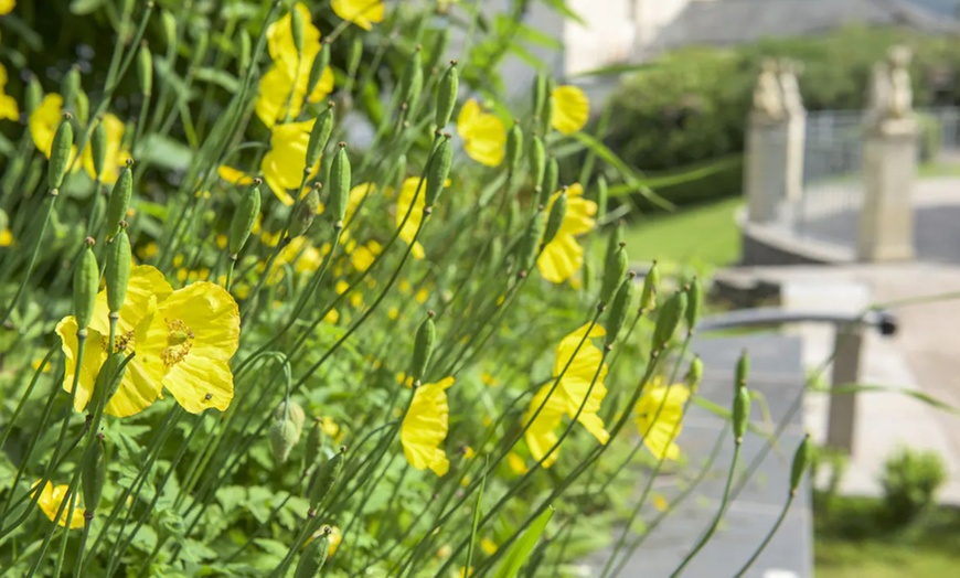 Image 6: Cumbria: Double Room with Breakfast and Prosecco