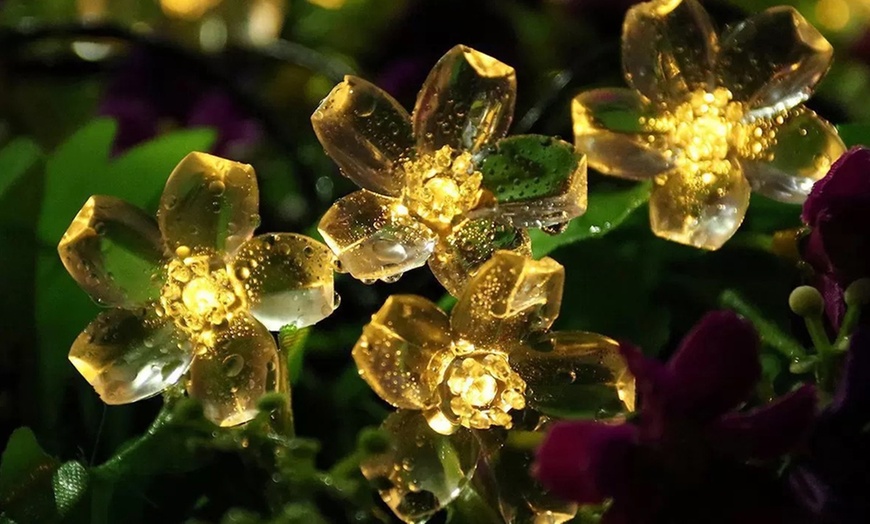 Image 10: 50 LED Multi-Coloured Solar Cherry Blossom Lights Options