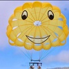 Image 7: Panoramic Catalina Parasailing For Solo Adventurers and Groups