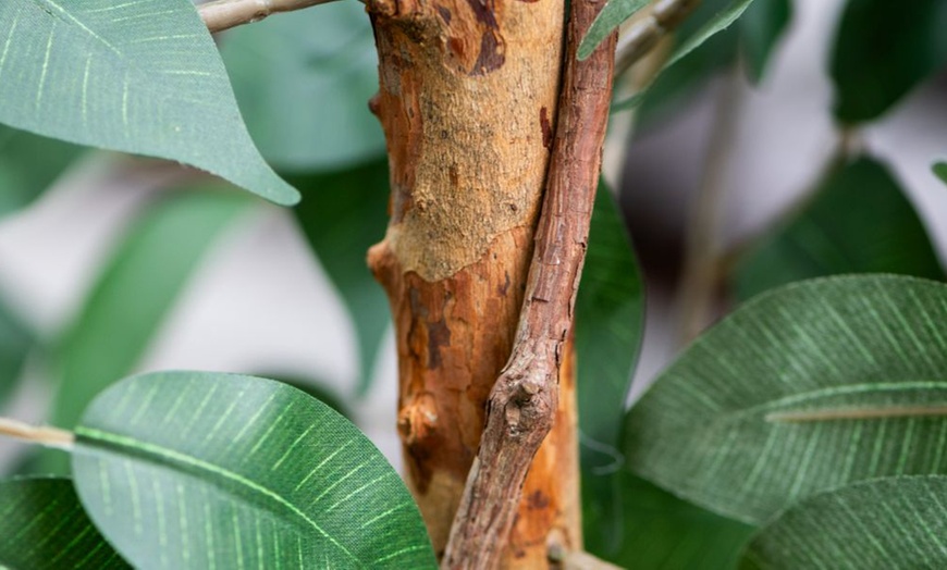 Image 10: Artificial Plants and Trees - Bamboo, Ficus, Olive and Palm