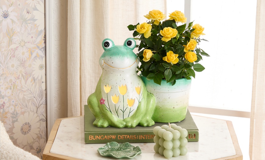 Image 18: Next Day Delivery Lush Plants from 1-800-Flowers (up to 55% off)