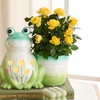 Image 18: Next Day Delivery Lush Plants from 1-800-Flowers (up to 55% off)