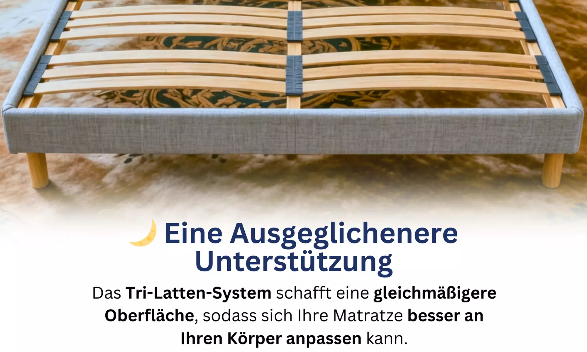 Bettgestell ANTHRA opt. mit Matratze