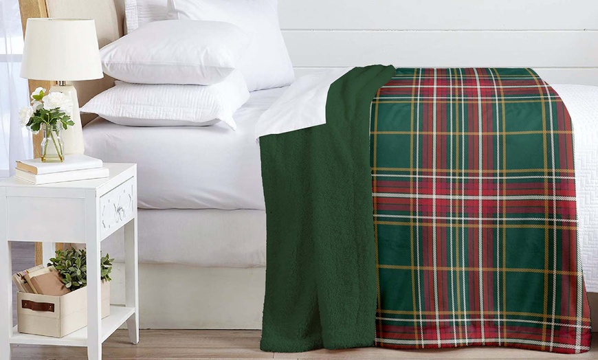 Image 31: Sherpa-Kuscheldecke