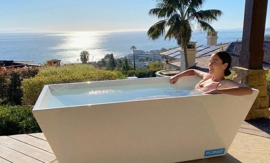 Image 4: Experience Revitalizing Sauna & Cold Plunge Sessions for Wellness