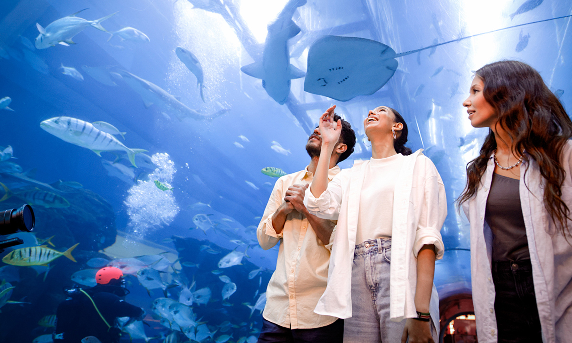 Dubai Aquarium And Dubai Frame Entry Tickets For 1, 2 Or 4 Adults