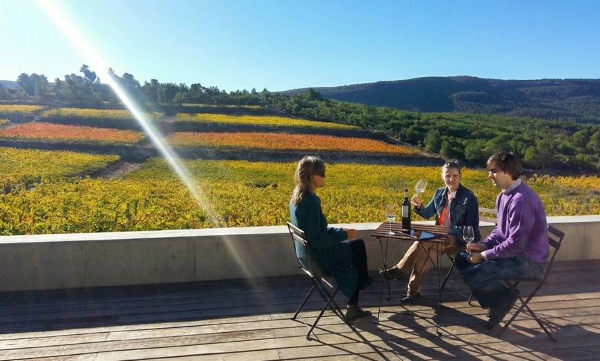 Image 6: Cata de 3 vinos con maridaje de productos km 0 y visita a viñedo