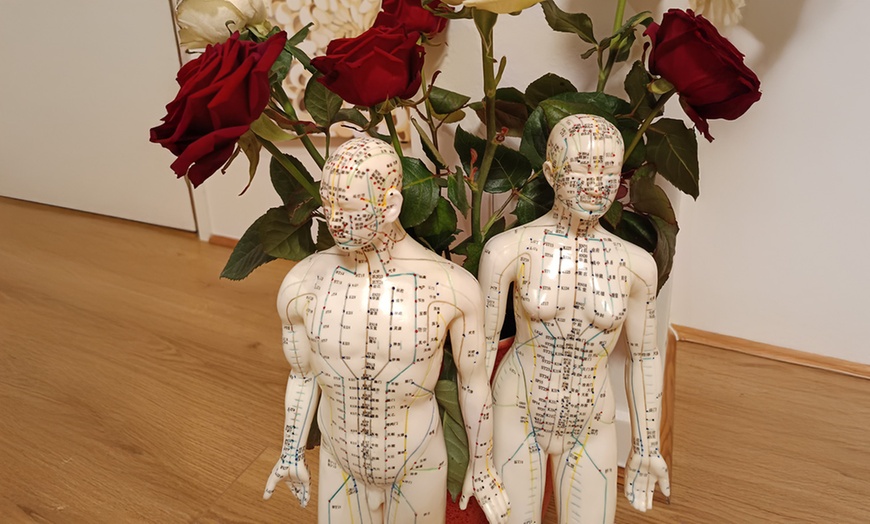 Image 8: Modelage Shiatsu ou réflexologie avec une experte