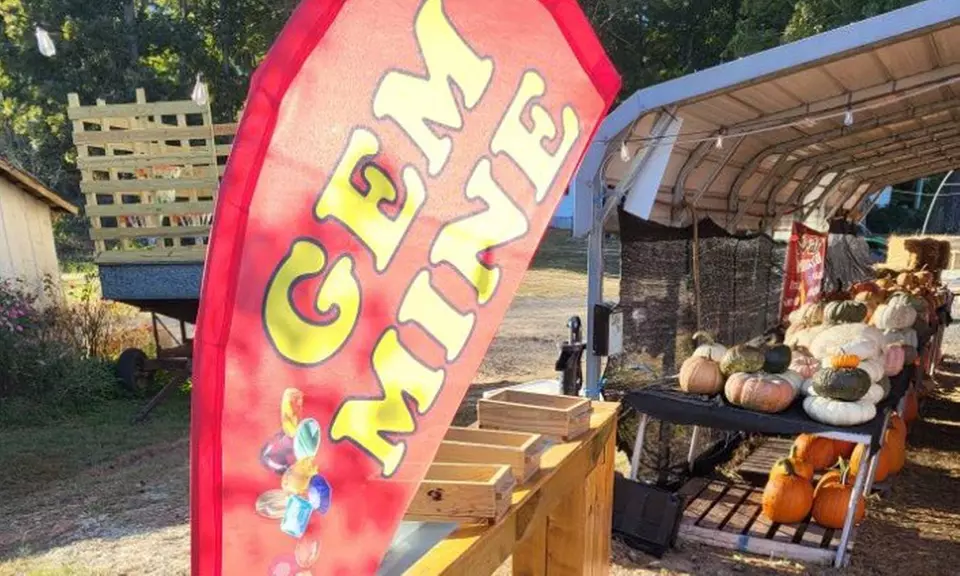 Family Fall Fun with Maze Hayrides and Pumpkin Picking for Families