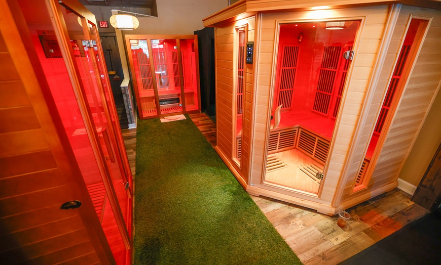 Image 3: Cold Plunge, Sauna and Red Light Therapy: Choose 1, 2 or all 3 Options