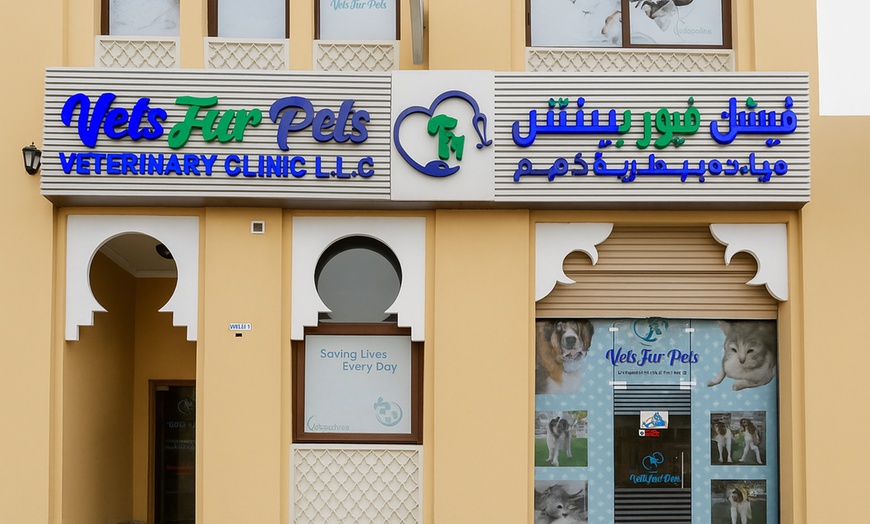 Image 2: (0 - 10 kg) Cat/Dog, Medium (10.1 - 20 kg) or Large Dog Full Grooming