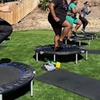Image 1: Up to 61% Off on Yoga - Trampoline at Tribe Fitness Club