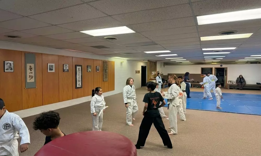 Up to 50% Off on Martial Arts / Karate / MMA at Rising Star Martial Arts