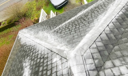 roof blow off,gutter cleaning/organic moss treatment up to 2,500 sqtft - marys professional cleaning