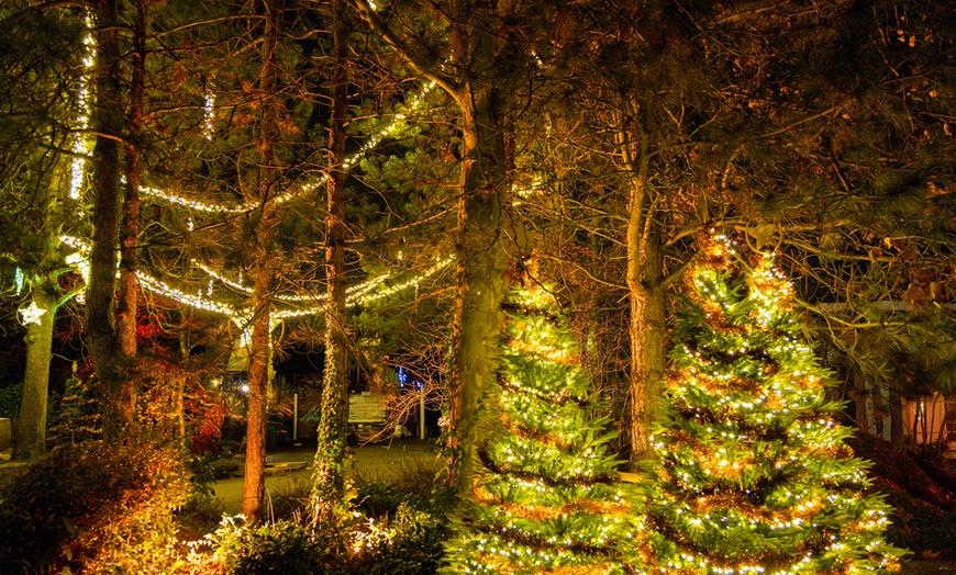 Image 9: Journée magique à Walibi Belgium : émotions, frissons et fun pour tous