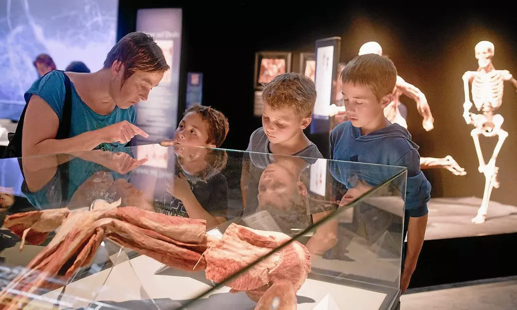 Allemagne : 1 à 4 nuits  avec tickets pour l'exposition "Body Worlds" et 1 bouteille de mousseux à l'hôtel Häfner - Primary Image