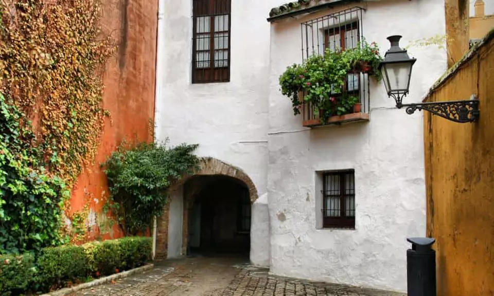 Tour Sevilla Encantada para 2 o 4 en Naturanda Turismo Ambiental