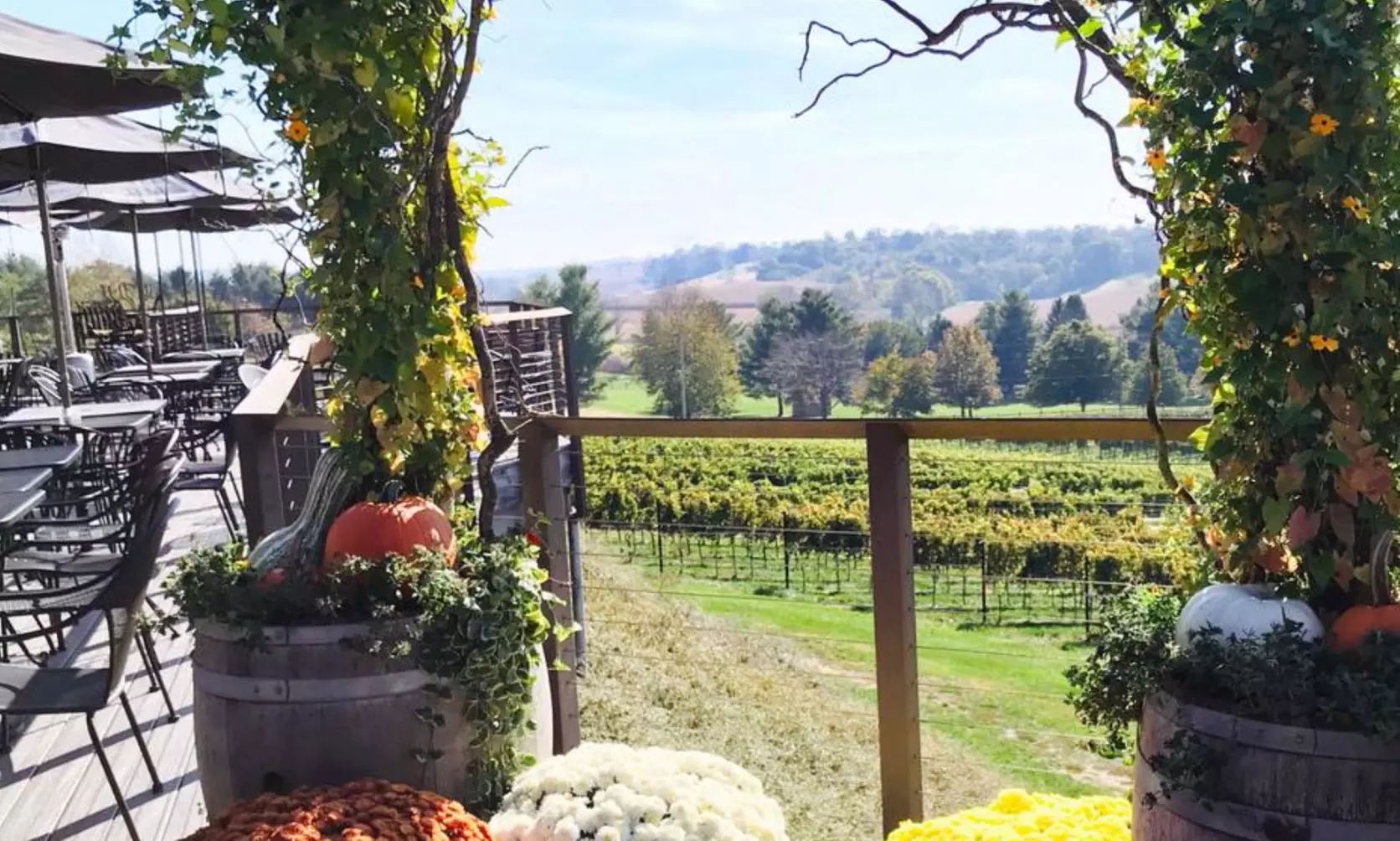 Wine Trail Tickets at Hershey Harrisburg Wine Country on October 29, 2023 (Up To 43% Off) - Second Medium