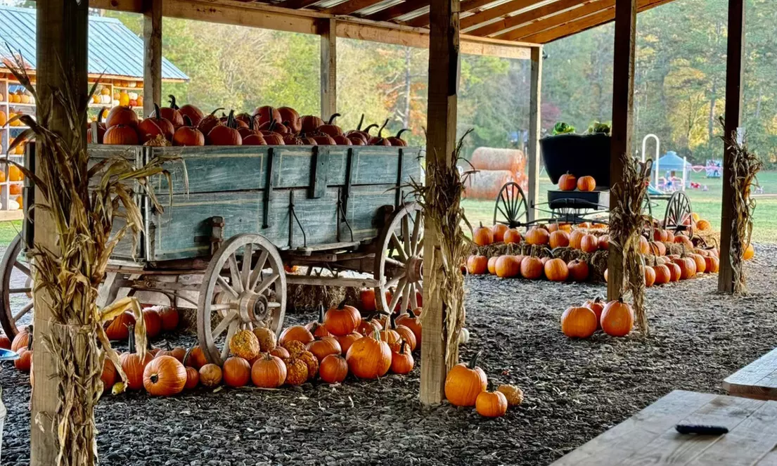 Admission For One, Two, or Four To Pumpkin Patch With Activities!