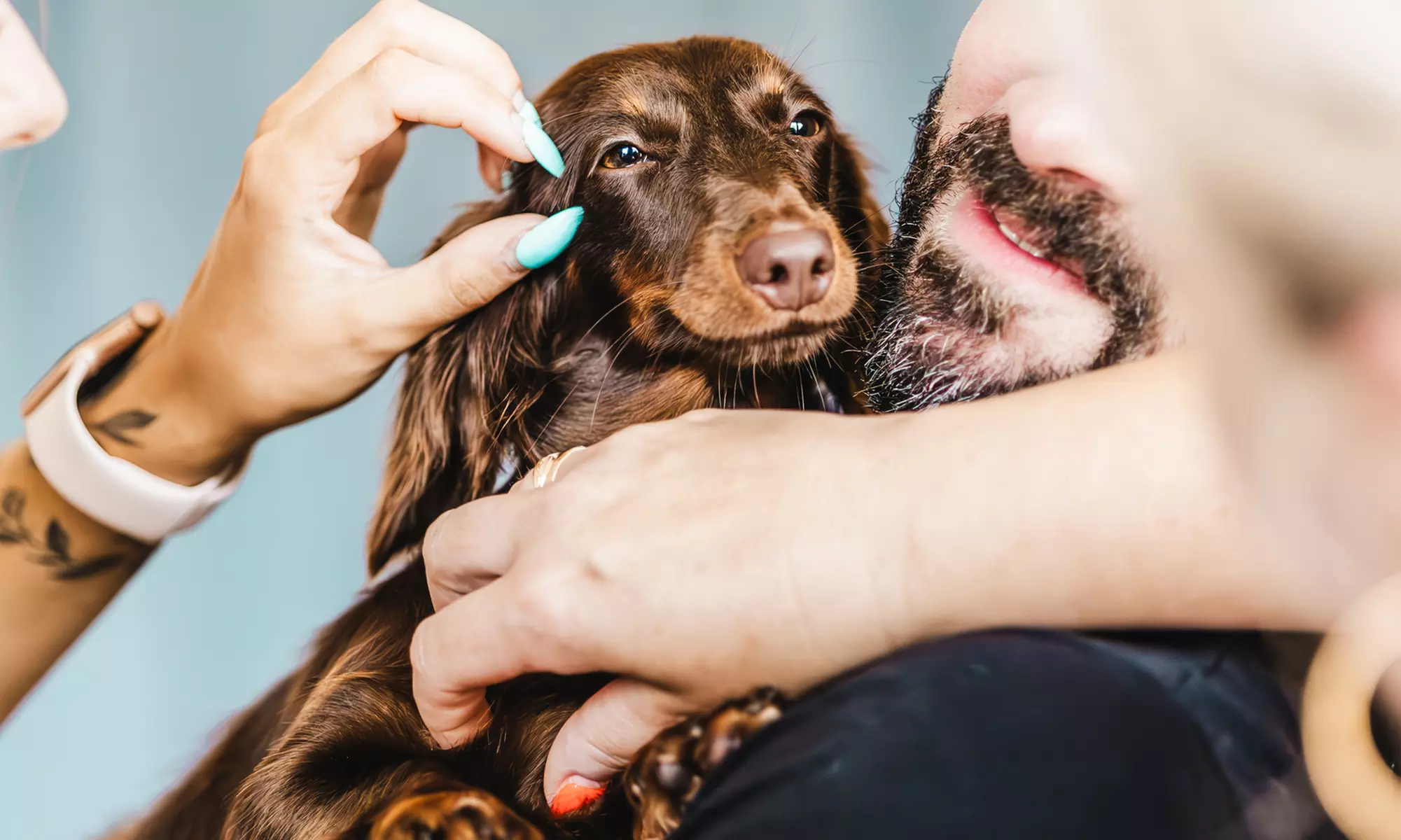 Odzyskaj równowagę i uśmiech: Sesja Pieski Yoga dla 1 lub 2 osób