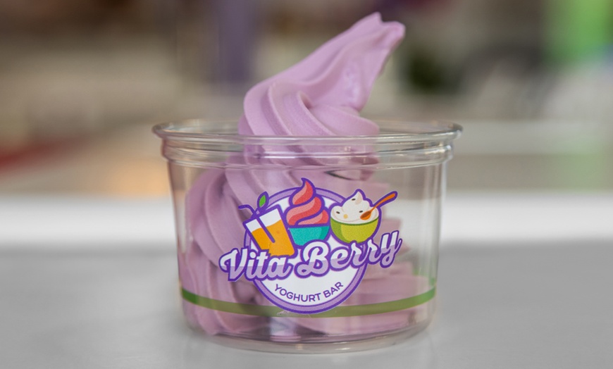 Image 2: Up to 30% Off on Frozen Yogurt (Bakery & Dessert Parlour) at Vitaberry