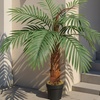 Image 1: Künstliche Palme im Kunststofftopf, 100 cm