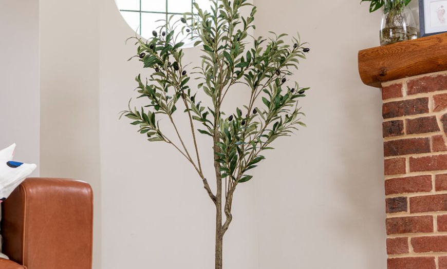Image 12: Artificial Plants and Trees - Bamboo, Ficus, Olive and Palm