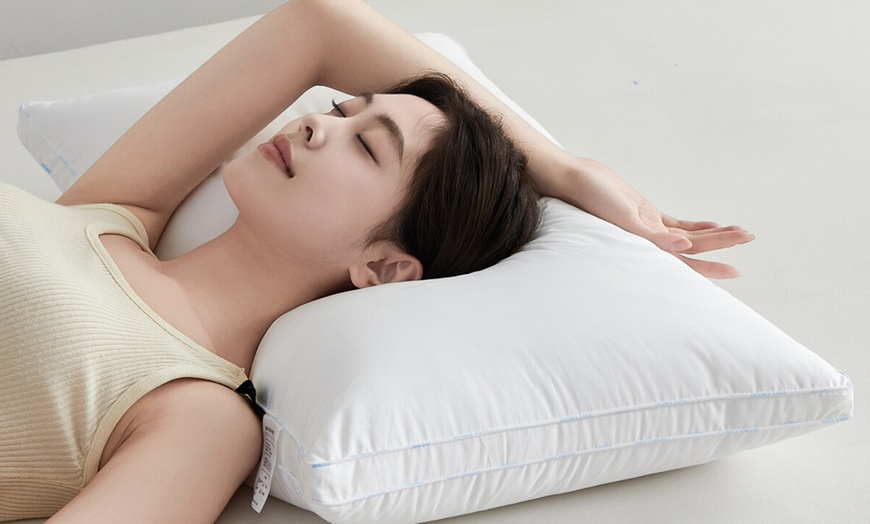 Image 2: Pure Cotton Luxury Hotel Pillow Duo
