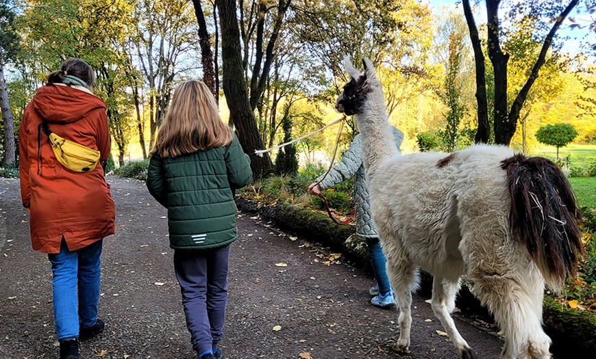 Image 4: 2-stündige Lama-Park-Wanderung für 2 Personen