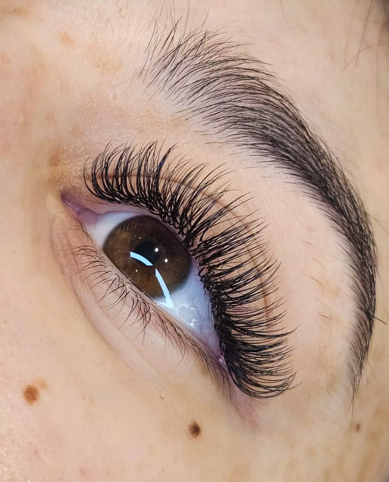 Wimpern- &/oder Augenbrauen-Lifting + Färben oder Wimpernverlängerung