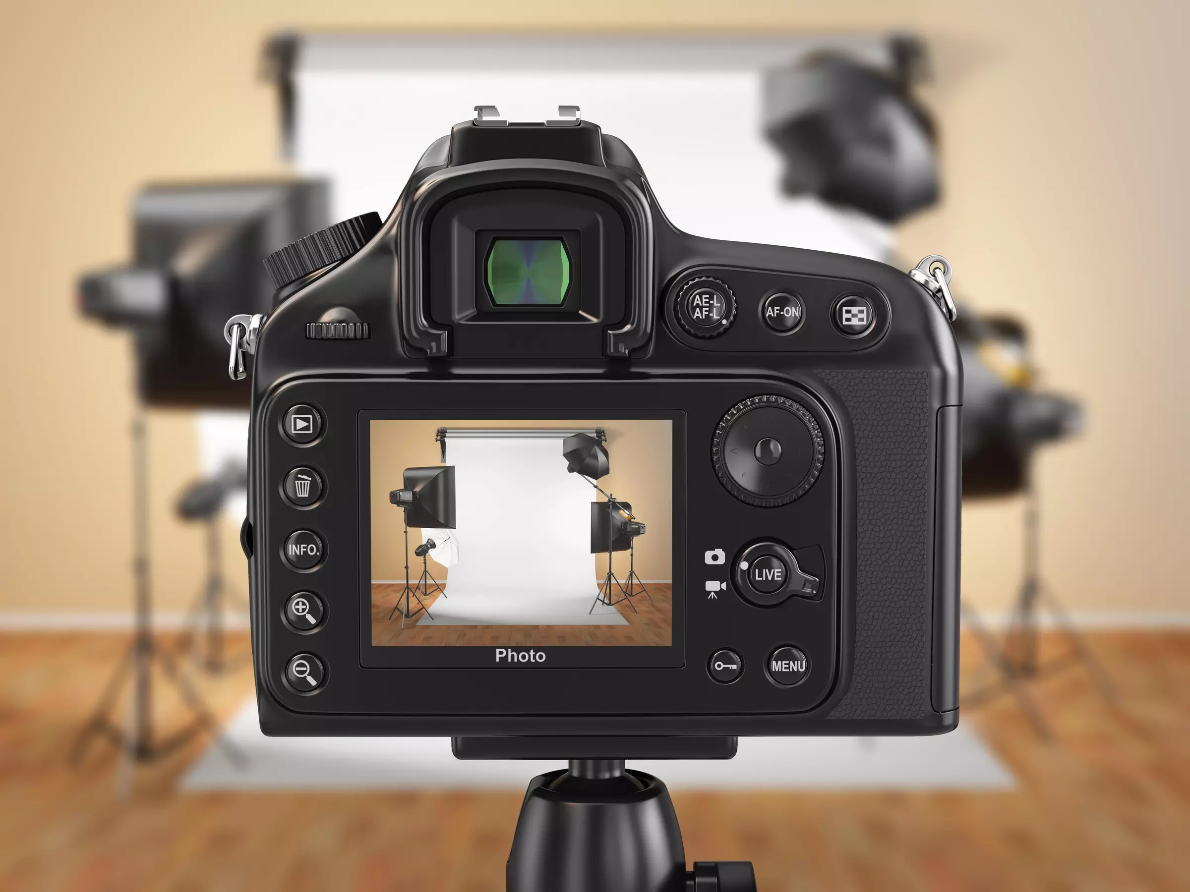 $52 for $200 Worth of Services — Tiger Rose Photography - Primary Image