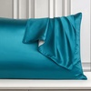 Image 42: Mulberry Silk Beauty Pillowcase Duo